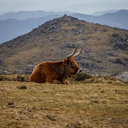 シャレー Abrigo Da Serra - Soajo Mountain Adrao