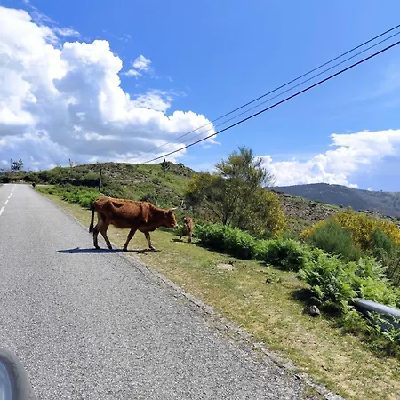 Abrigo Da Serra - Soajo Mountain シャレー *
