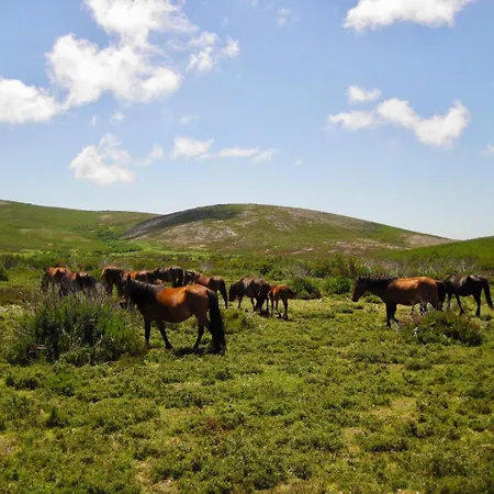 Abrigo Da Serra - Soajo Mountain シャレー Adrao