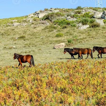 シャレー Abrigo Da Serra - Soajo Mountain Adrao