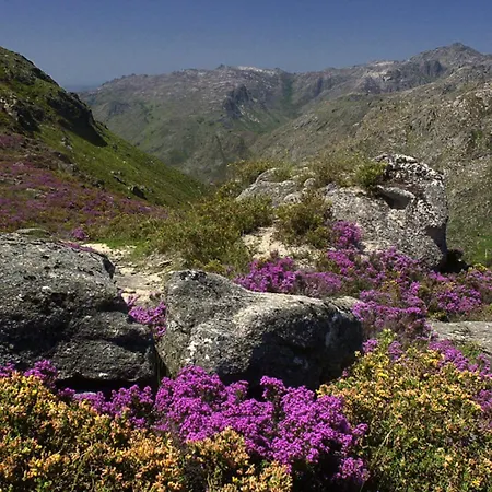 シャレー Abrigo Da Serra - Soajo Mountain